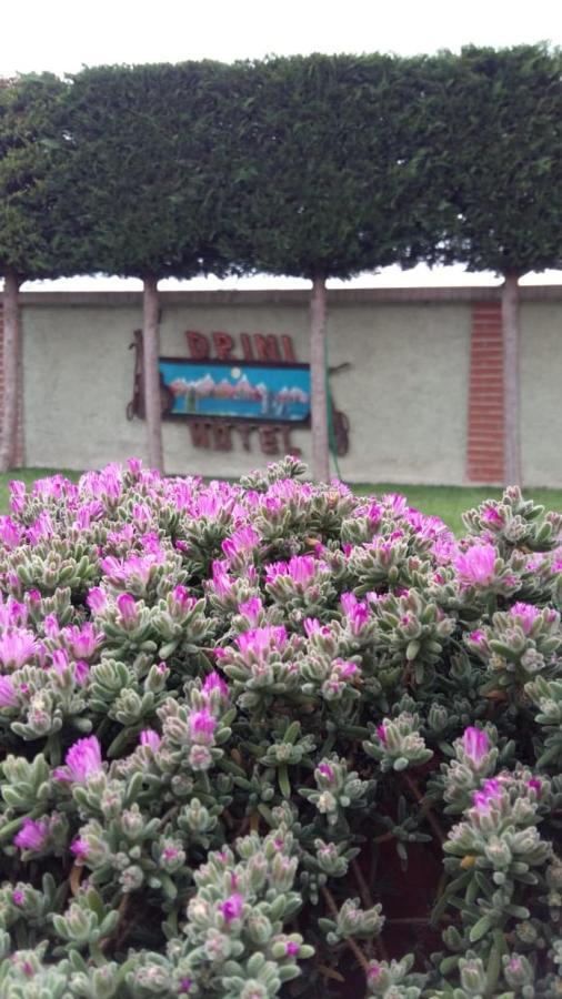 Rrashbull Drini Hotel מראה חיצוני תמונה